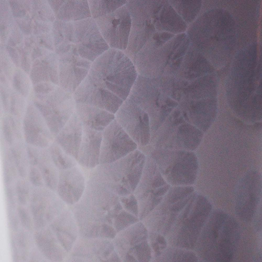 花結晶 (2) 藤