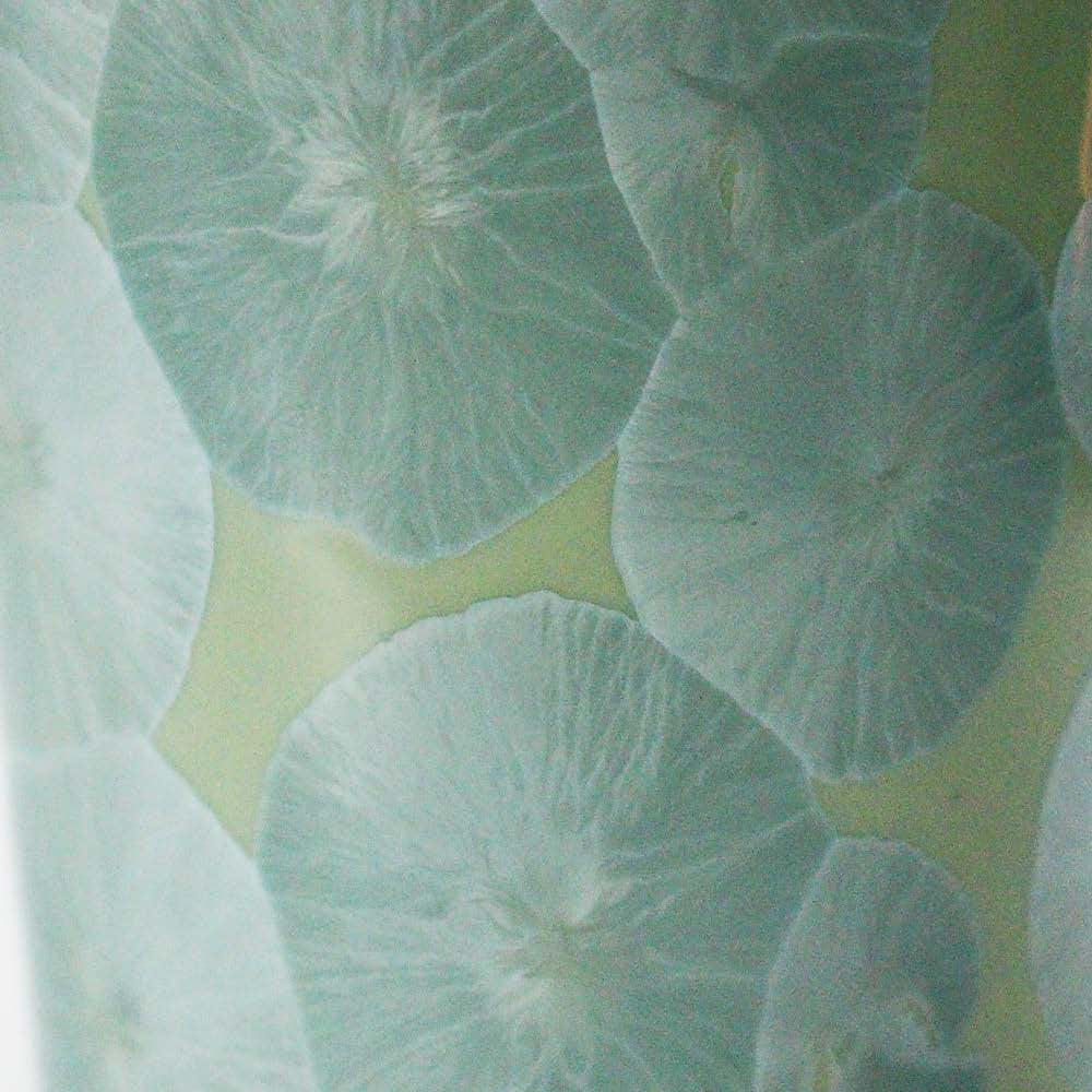 花結晶 (7) 緑
