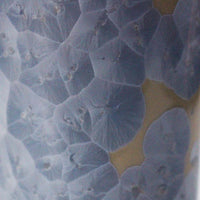 花結晶 (10) 銀藤