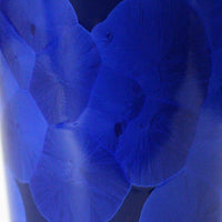 花結晶 (13) 瑠璃